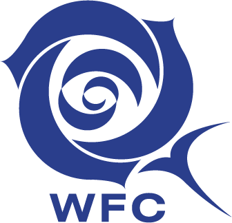 Wonder Future Corporation
